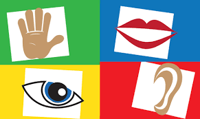 Illustrations of a hand, lips, an eye and an ear.